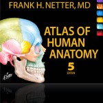 netters anatomy 5th edition